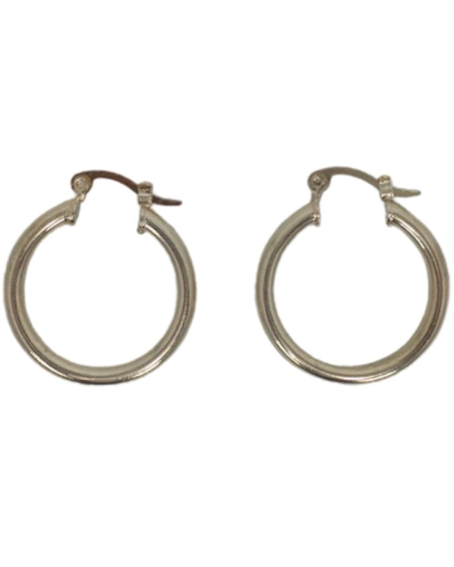 Small Gold Hoop Earrings