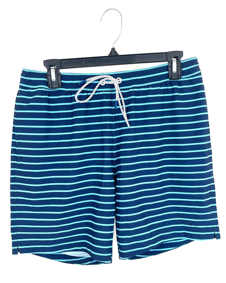 MENS Navy and Sky Blue Thin Stripe Swim Shorts - Medium